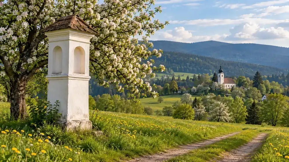 Bílá boží muka s prázdnými výklenky u polní cesty, vedle kvetoucí jabloň, v dálce malý kostel s jednou věží na návrší a zalesněný hřbet Šumavy