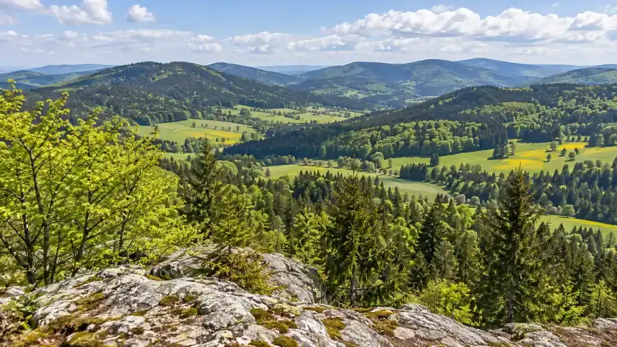 Pohled ze skalky s lišejníky přes rašící buky a smrky na samostatné zalesněné kopce a louky žluté od pampelišek v jarním oparu