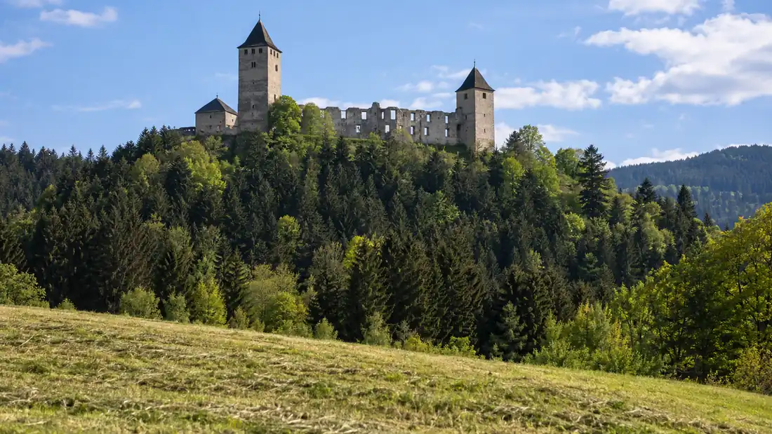 Hrad se dvěma hranolovými věžemi s jehlanovými střechami nad smrkovým lesem
